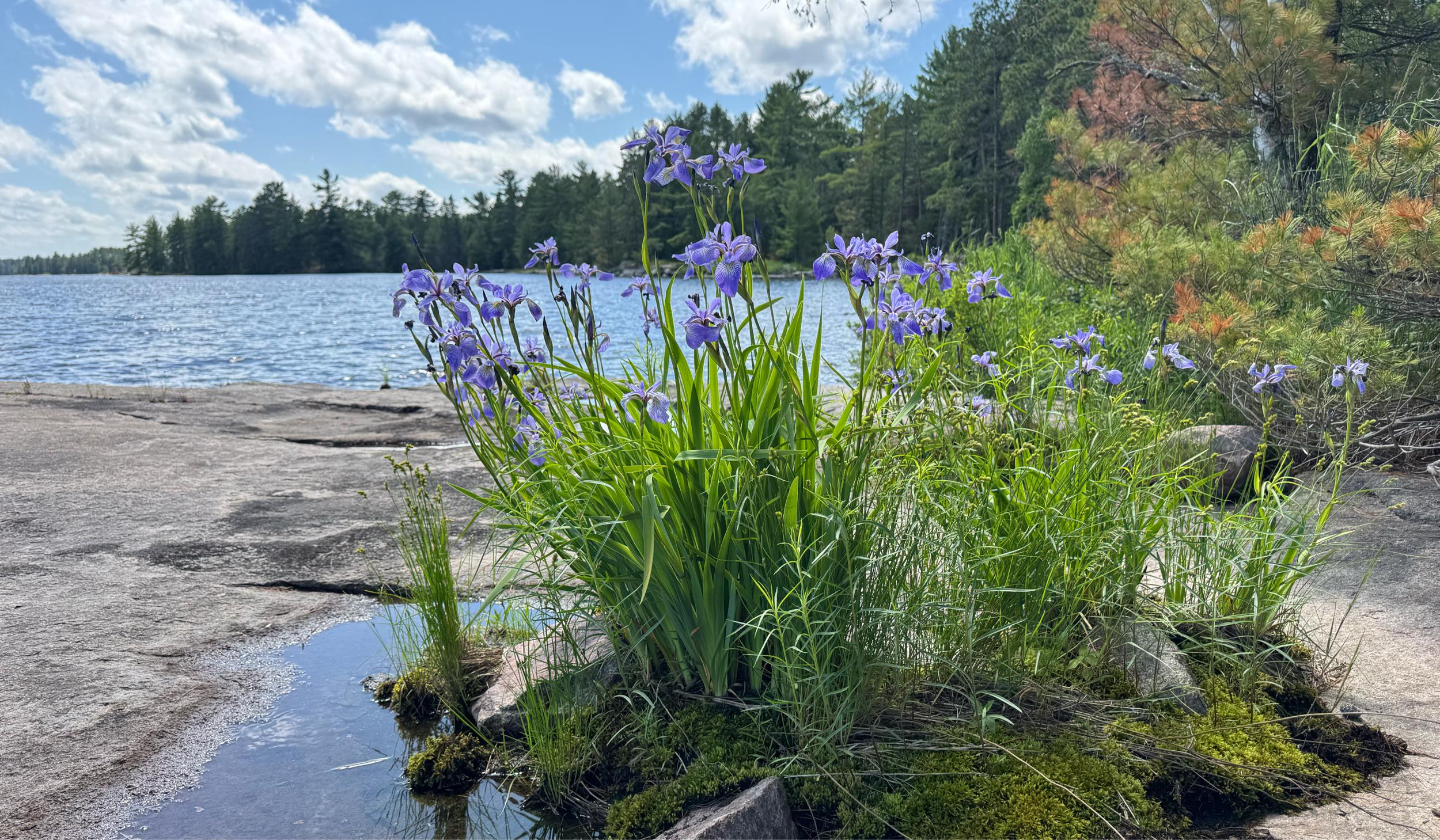 The Wedding Website of Isaac Morales and Melissa Frishkoff