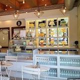 Bird Bakery