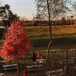 The Winery at Bull Run