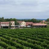 Grape Creek Vineyards