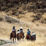 Vino Vaqueros Horseback Riding
