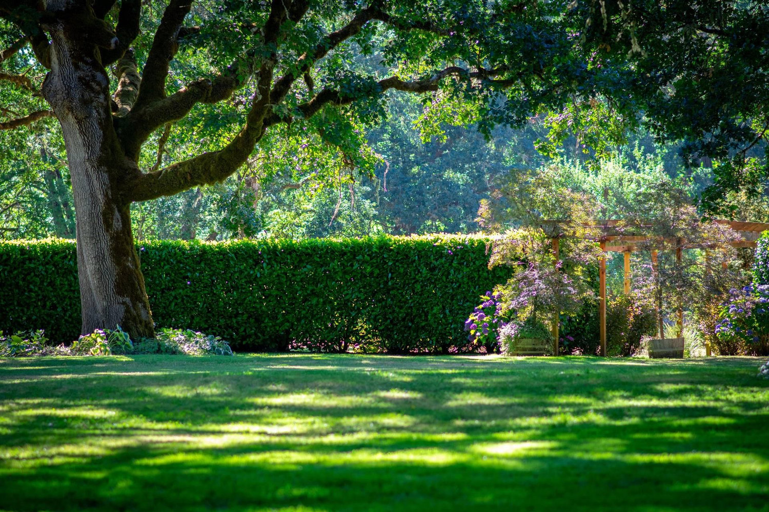 The Wedding Website of JACQUIE ROGERS and Justin Phillips