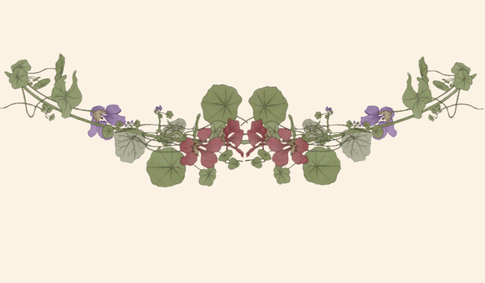 Footer image