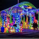 Bronx Zoo - Holiday Lights