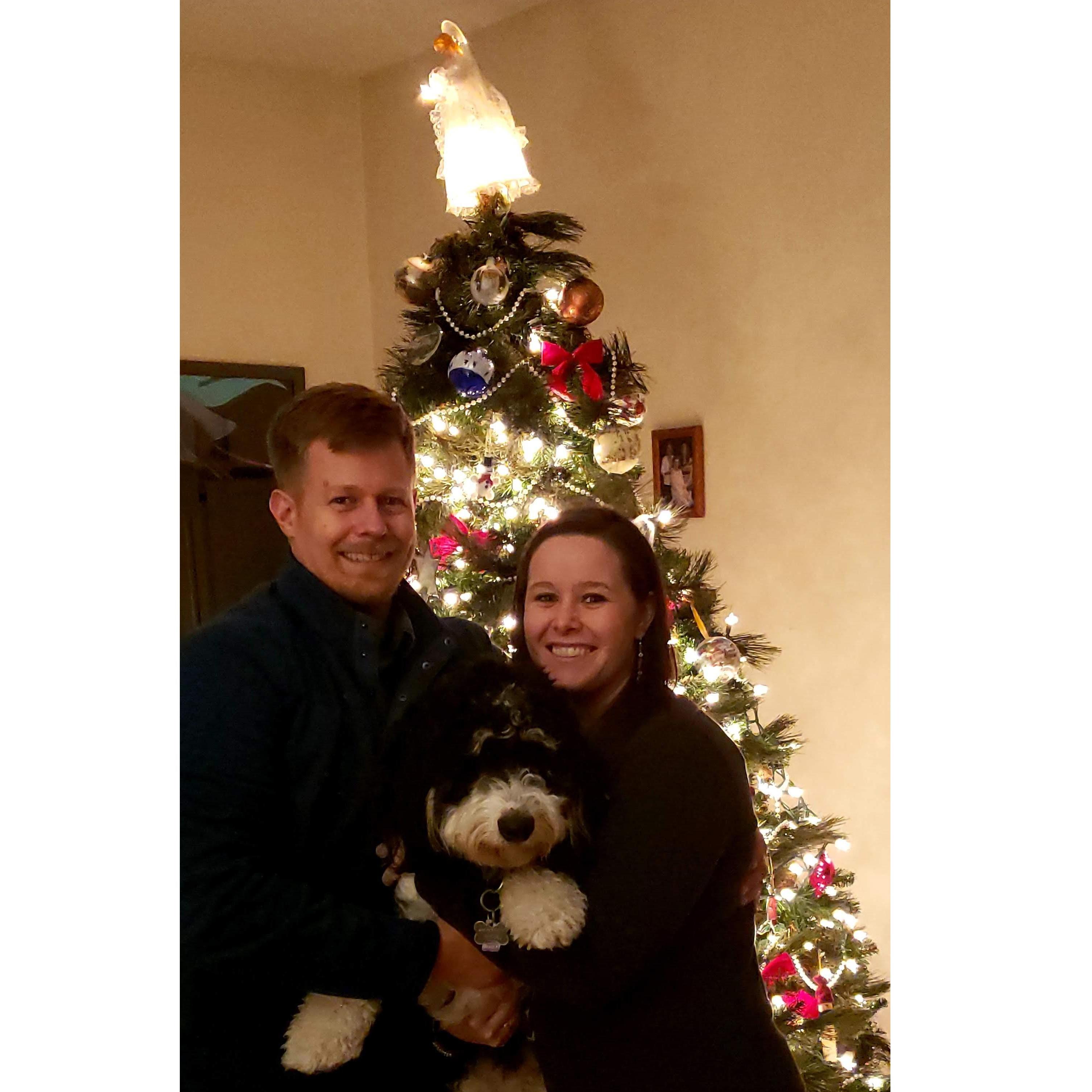 Our attempt at a Christmas photo with Moose!