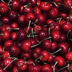 Fleurieu Cherries