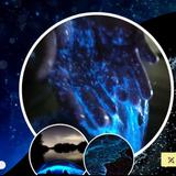 Bioluminescent Kayaking