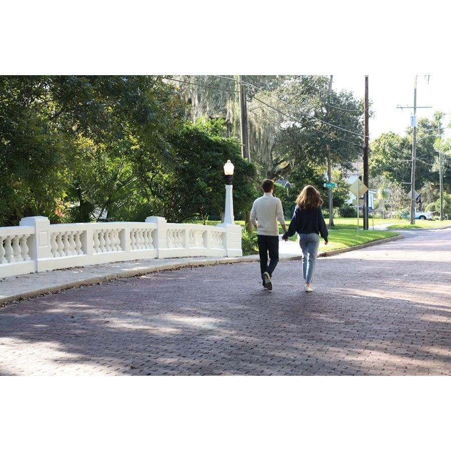 From the engagement photoshoot