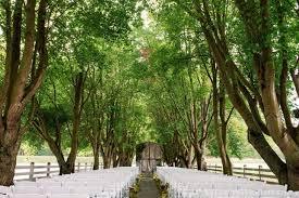 The Wedding Website of Abigail Barker and Brian McKeown