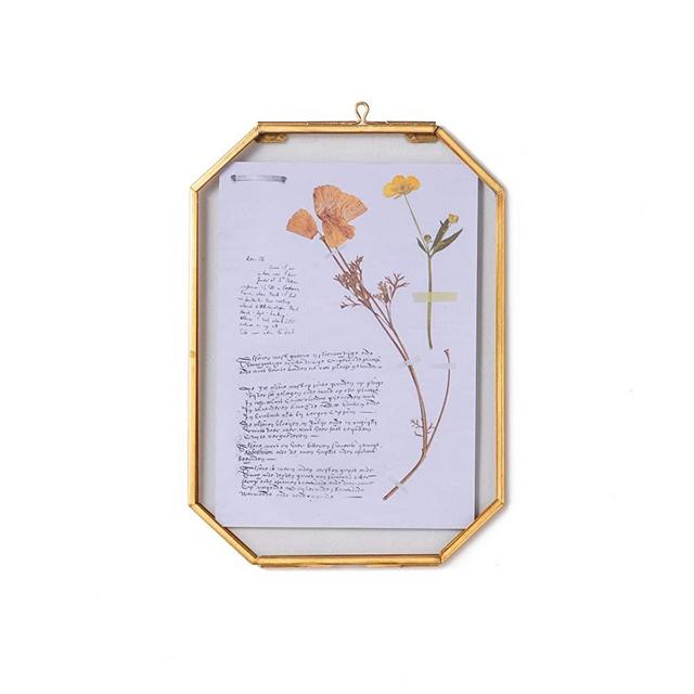 NCYP Wall Hanging 5X7 inches Long Octagon Herbarium Brass Glass Frame for Pressed Flowers, Dried Flowers, Poster, Double Glass, Floating Frame Style, Glass Frame only