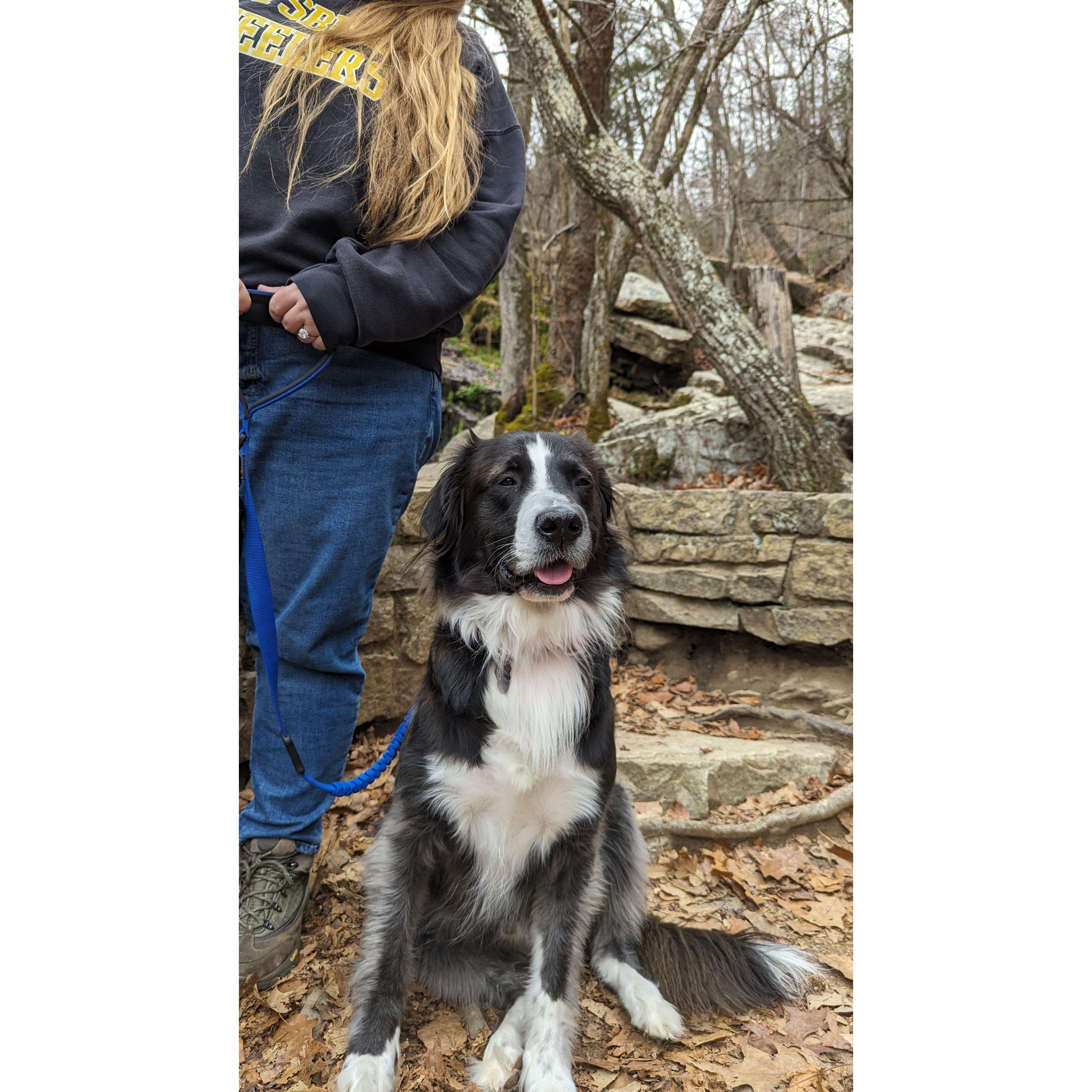 Turbo joined in on our hike too!