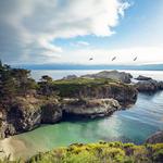 Point Lobos State Natural Reserve