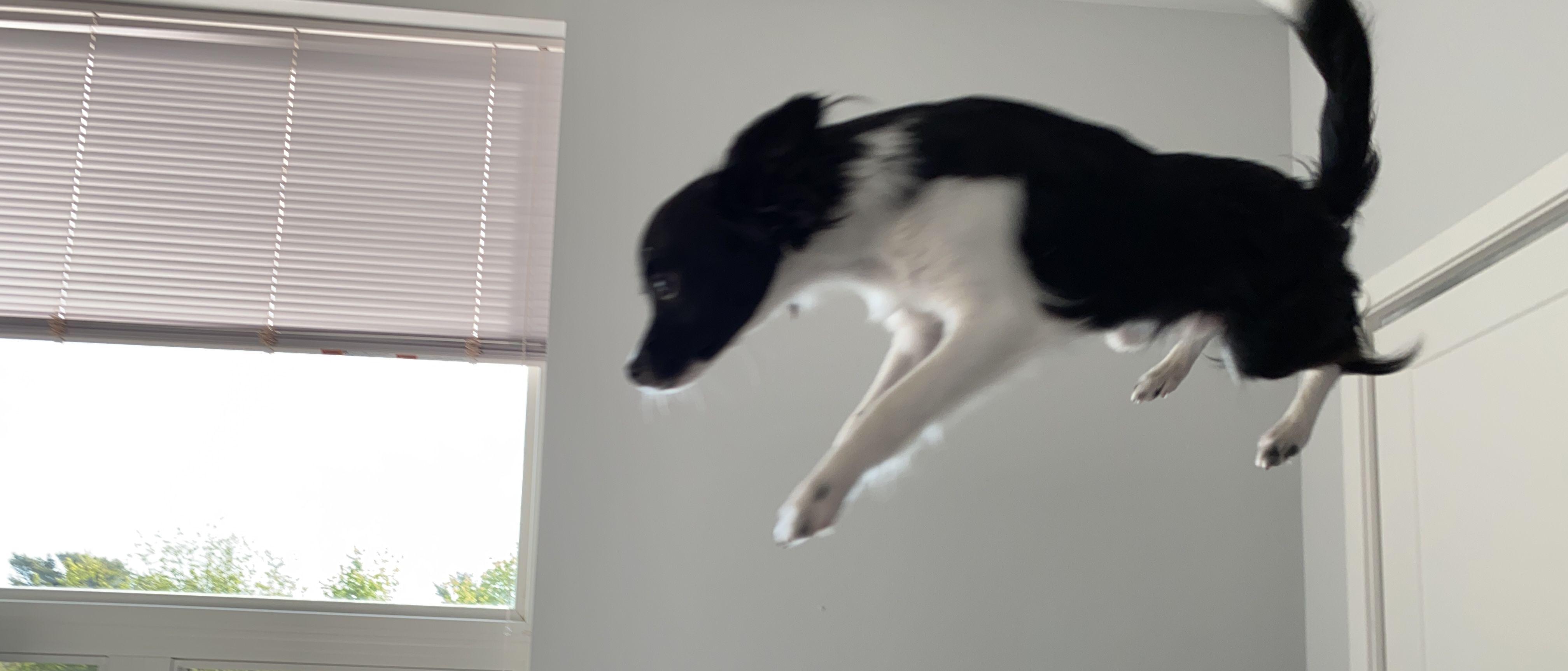 9fae27ec-0ecf-4baf-ab0c-feb5375df169