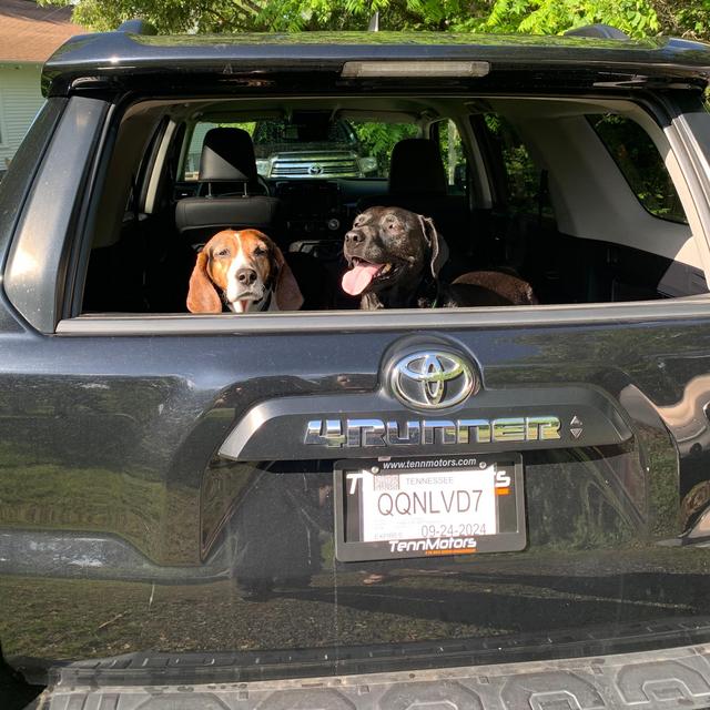 Window Tinting For Abby’s 4Runner