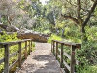 Los Osos Oaks State Reserve