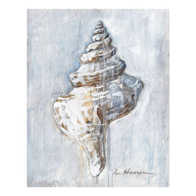 Shell Study #1 Canvas Print by Lauren Herrera, 16" x 20"