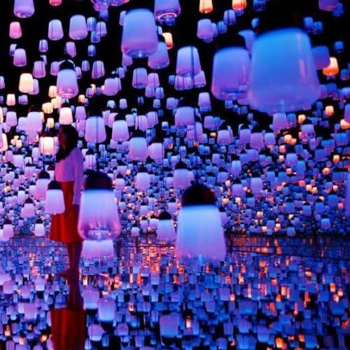 Mori Building Digital Art Museum: EPSON teamLab Borderless Admission