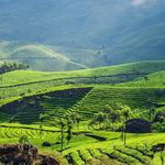 Munnar