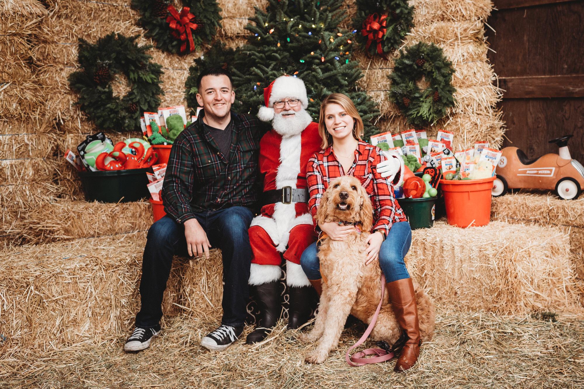 Santa Paws, 2018