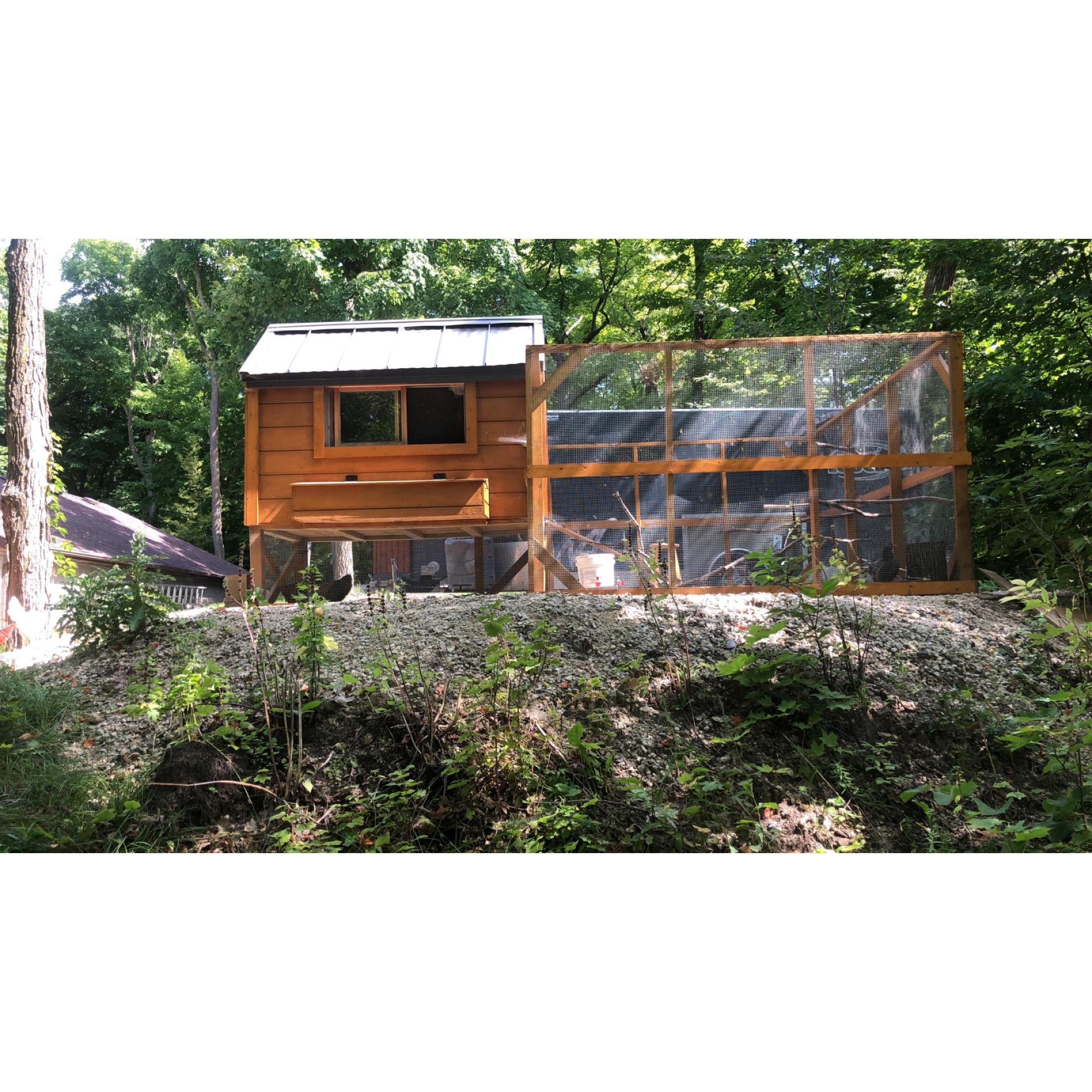 During quarantine we built a chicken coop and have 14 happy chickens :)