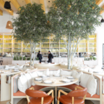 FIG & OLIVE