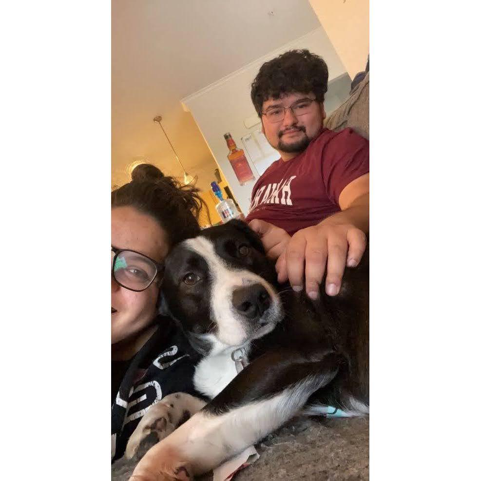 Felipe loves Phillip! It's so awesome to see that my dog is now OUR dog.