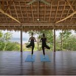Treetop Yoga