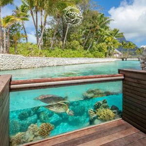 Honeymoon Turtle Rehabilitation Visit