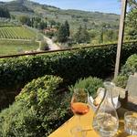 Visit i vigneti