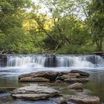 Waterfall Glen Forest Preserve