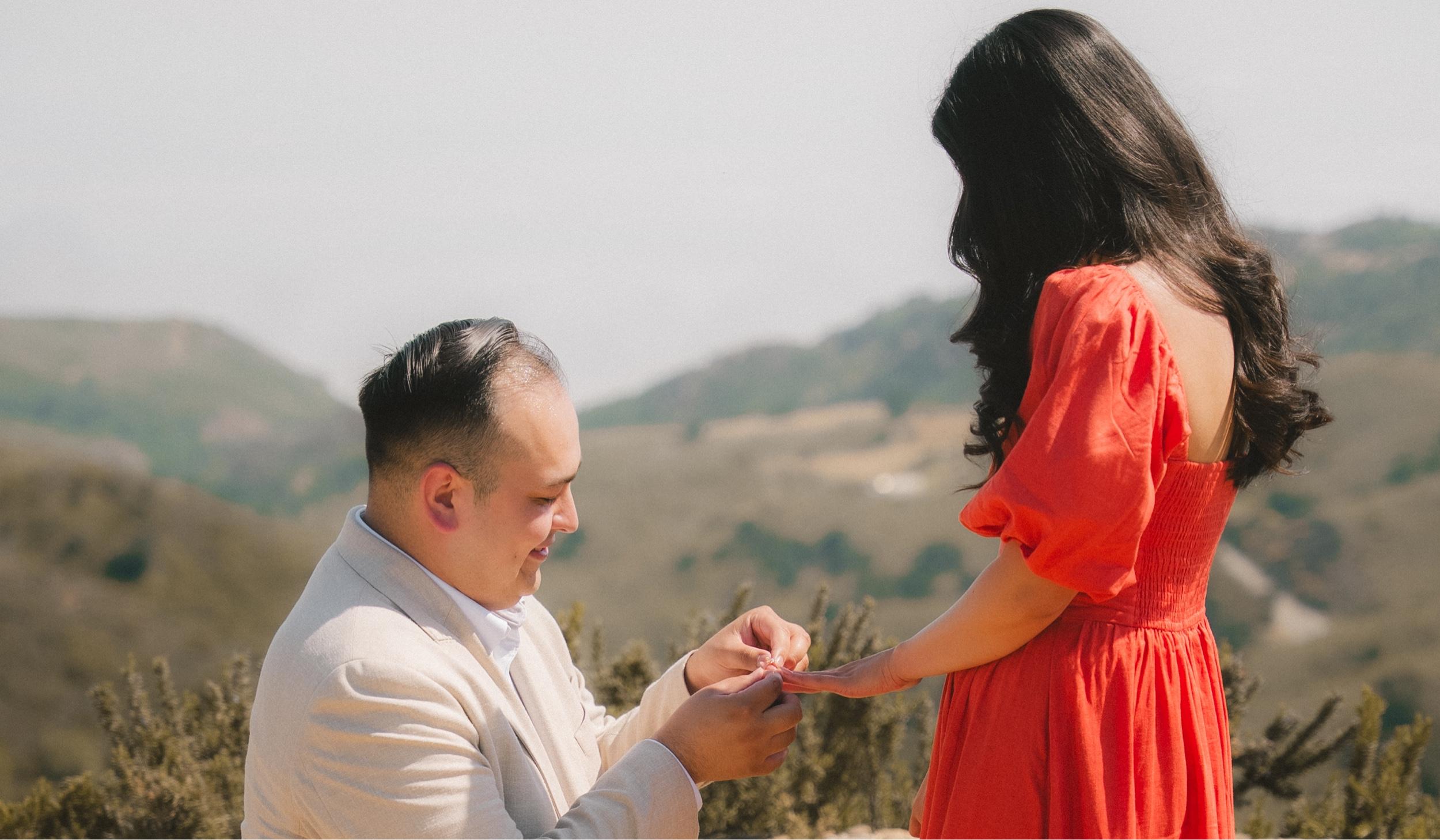 The Wedding Website of to have . and to hold .