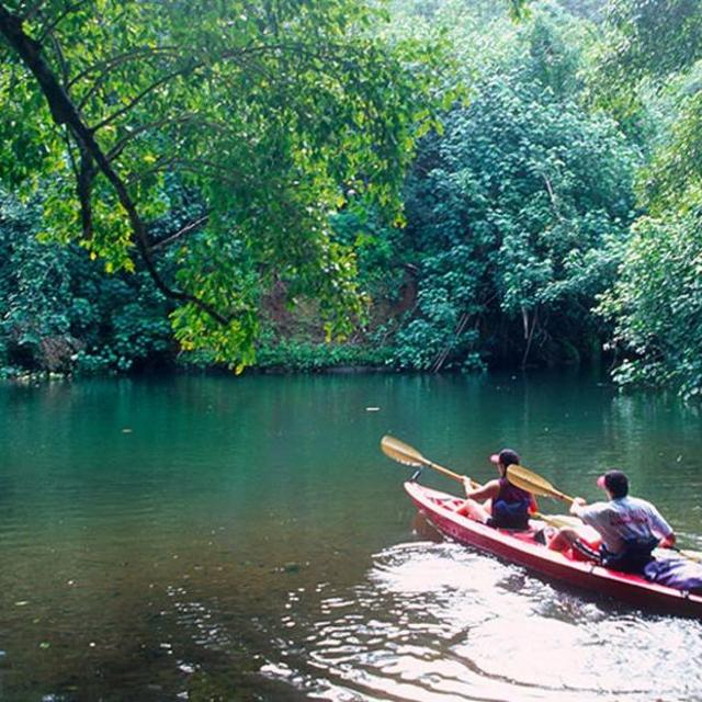 Wailua River Kayaking