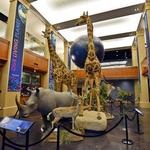BYU Life Science Museum