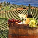 Wine tasting