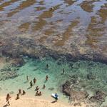 Florian’s Favorite Pick – Uluwatu Beach at Low Tide