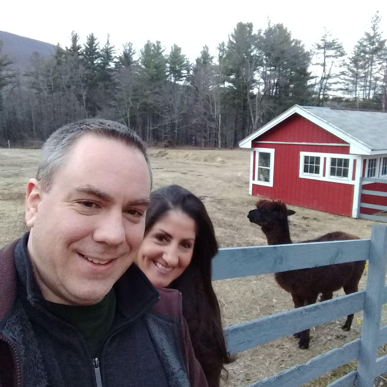 Time in Vermont with the Alpacas