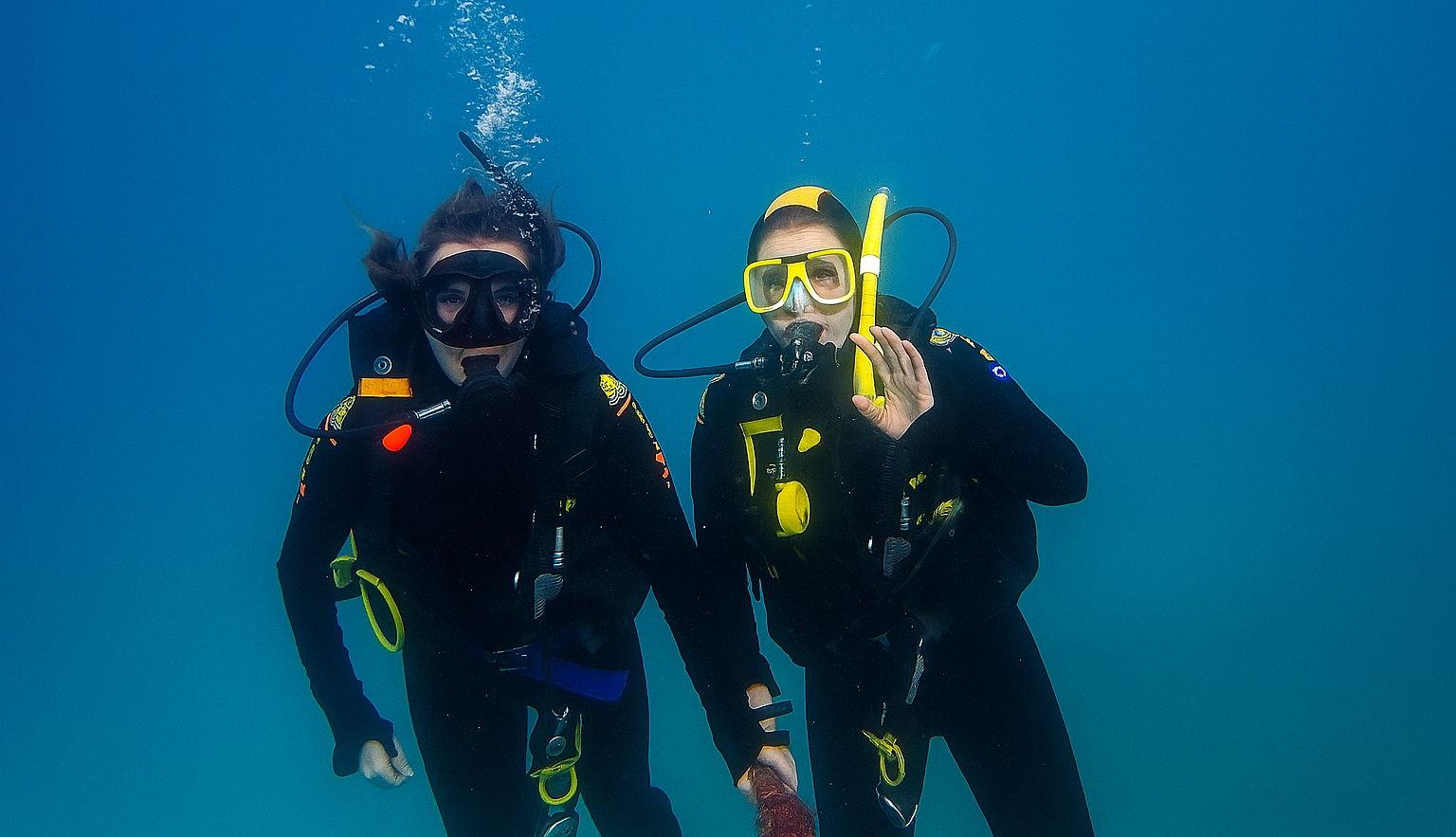 The Wedding Website of Caroline Schulte and Shoshana Levine