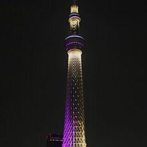 Tokyo Skytree/Observation deck (per person)