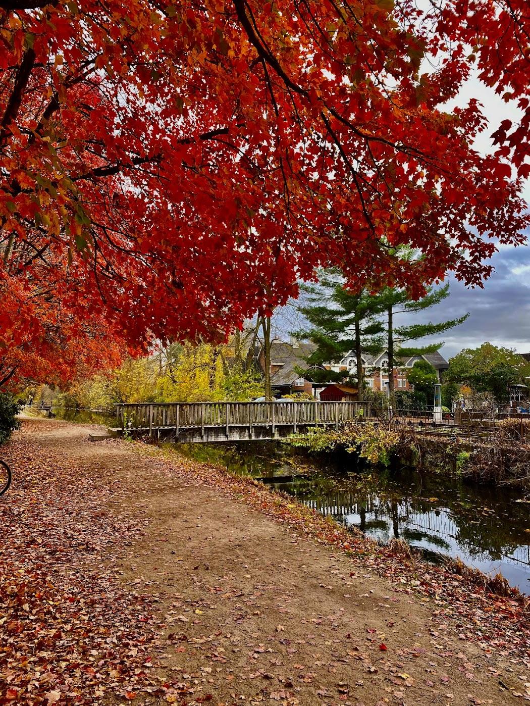 The Wedding Website of Dylan Vargas and Jessica Papagno