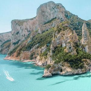 Honeymoon via Venmo