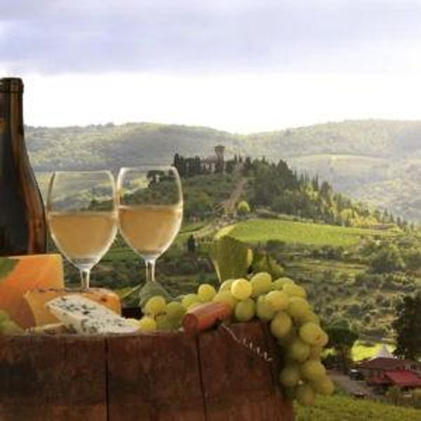 Tuscany Wine Tour