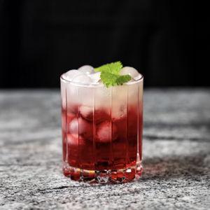 RIEDEL Drink Specific Glassware Double Rocks Glass - set of 4