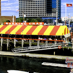 The Barking Crab