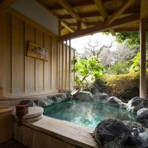 Luxuriate at Onsen/Ryokan