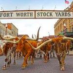 Fort Worth Stockyards Station