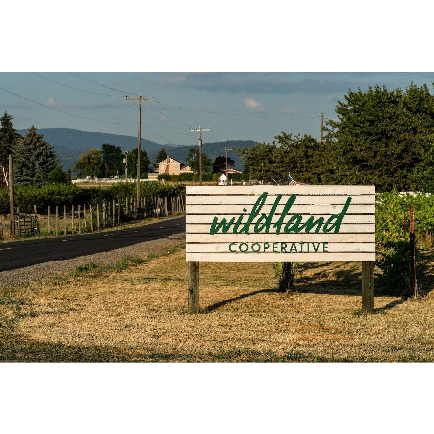 Wine from our amazing friends at Wildland Cooperative, just outside of Spokane