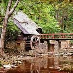Jemison Park