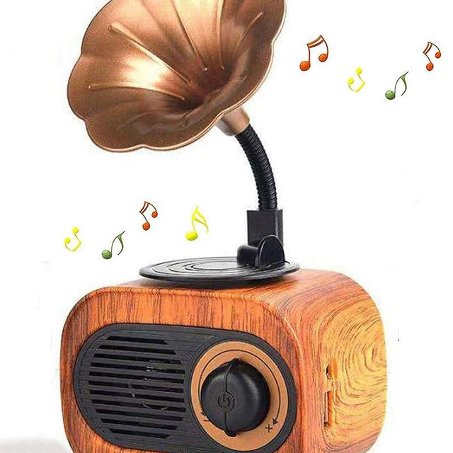 BGJOY Retro Music Speaker Vintage Wireless Portable Outdoor Speakers Loud Stereo Sound Rechargeable Speaker Built in Mic Support Answering Calls USB TF Card AUX for Home Party Office