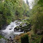 Tumwater Falls Park