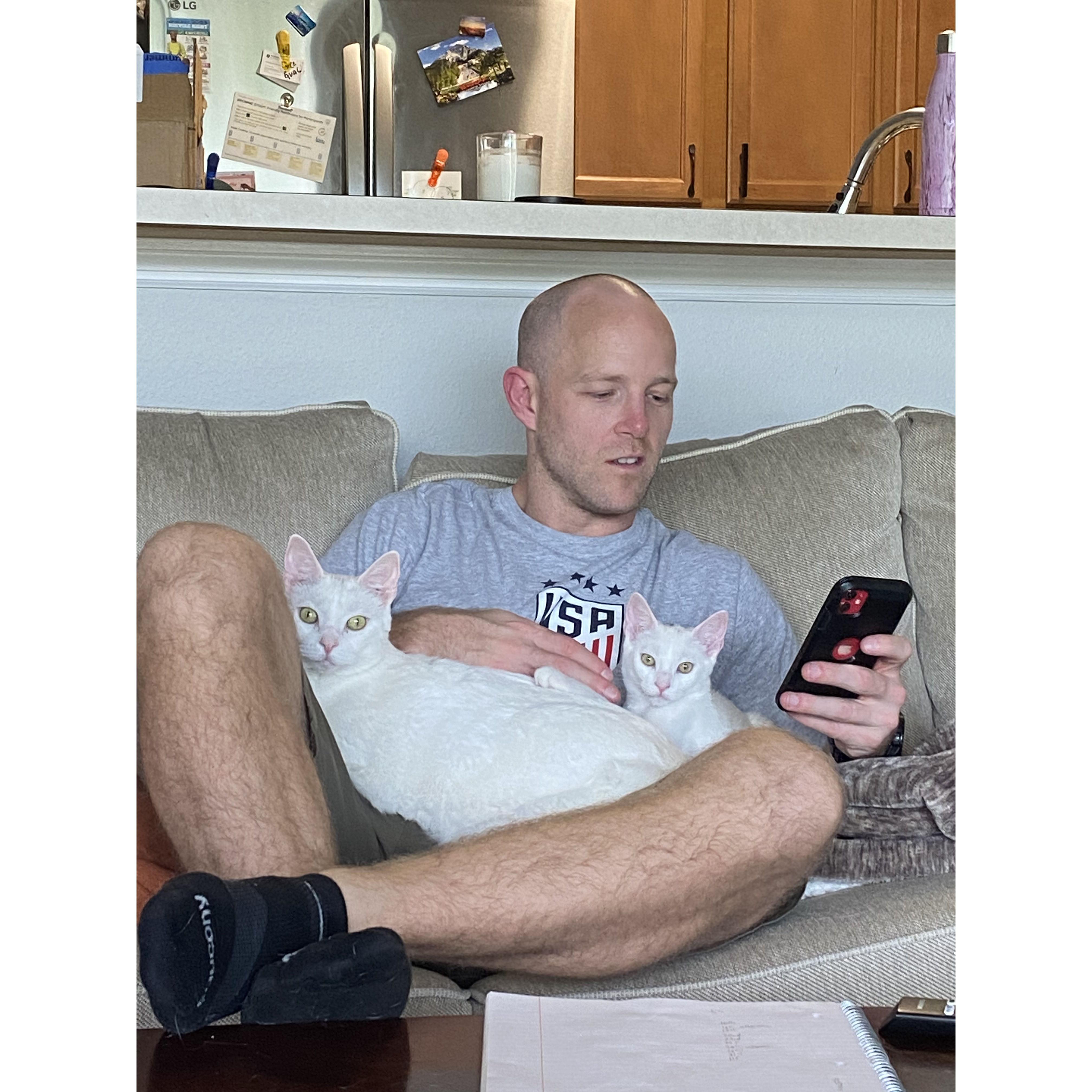 Our matching cats